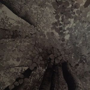 Meet your Posher, Kaitlyn